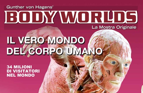 “Body worlds”: l’anatomia del corpo in mostra all’Albergo dei Poveri
