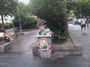 10556432_10203245311310999_6197476465153543819_n