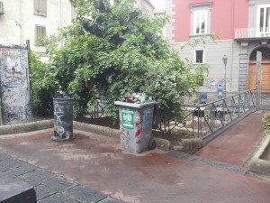 10556432_10203245311310999_6197476465153543819_n