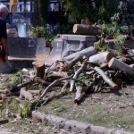 Altri alberi cadono: paura in Villa Comunale (FOTO)