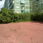 Festa della legalità con polemiche a Capodimonte: "parco ripulito solo per l'occasione, ma di solito è uno schifo"