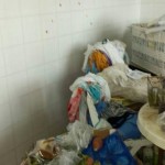 Segregata in casa per 9 anni tra i rifiuti: promettente 31enne salvata(FOTO)