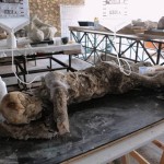 Restaurati i calchi delle vittime di Pompei