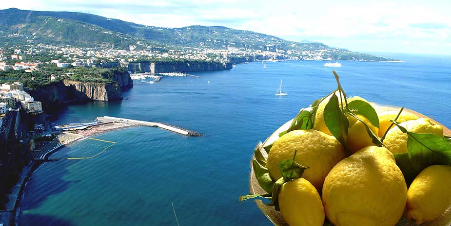Coldiretti: nuovi furti di limone in Costiera