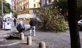 Alberi sradicati e tetti spazzati via, il vento mette in ginocchio Napoli (FOTO)