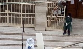 Casa di mela Focolaio a Fuorigrotta scuole pie