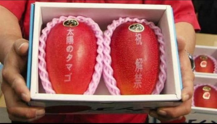 Giappone Frutta Record Mango