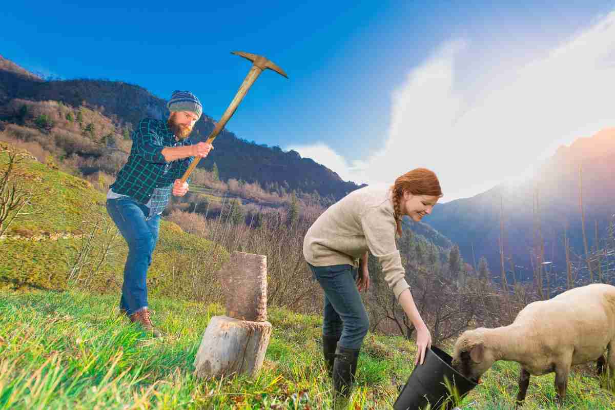 Test intelligenza con immagine