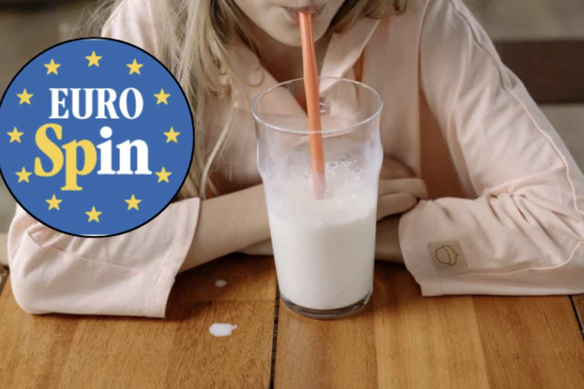 Fondata nel 1993, questa catena ha saputo diventare un punto di riferimento per chi cerca di risparmiare senza compromettere la qualità dei prodotti.