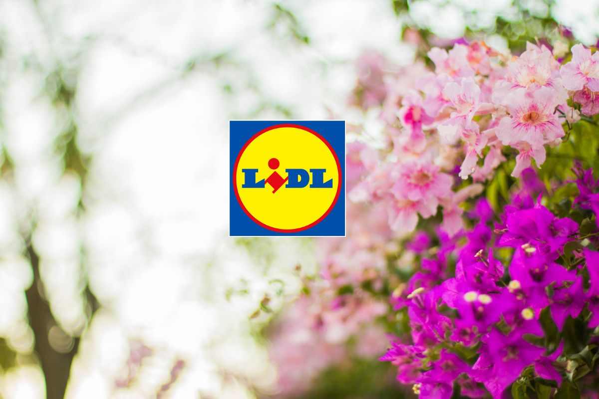Offerte Lidl attrezzi da giardino