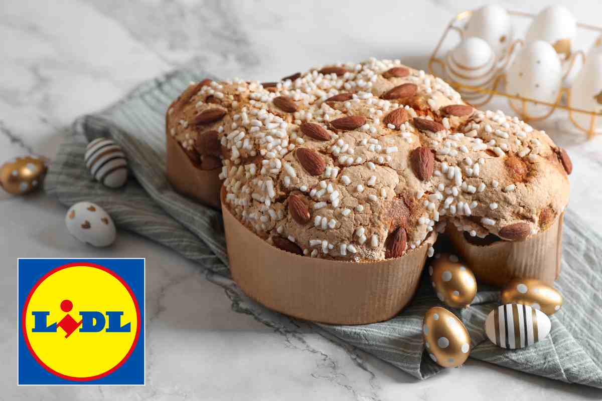 colomba pasqua lidl