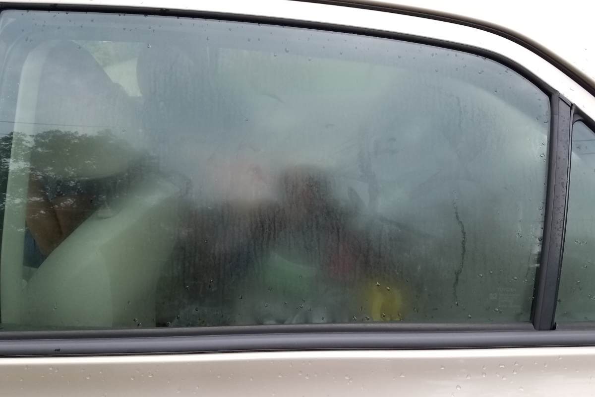 Elimina la condensa in auto