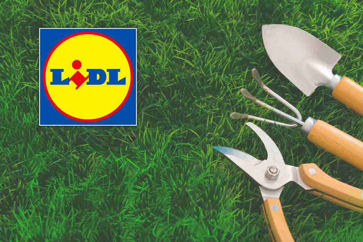 lidl giardinaggio promozioni