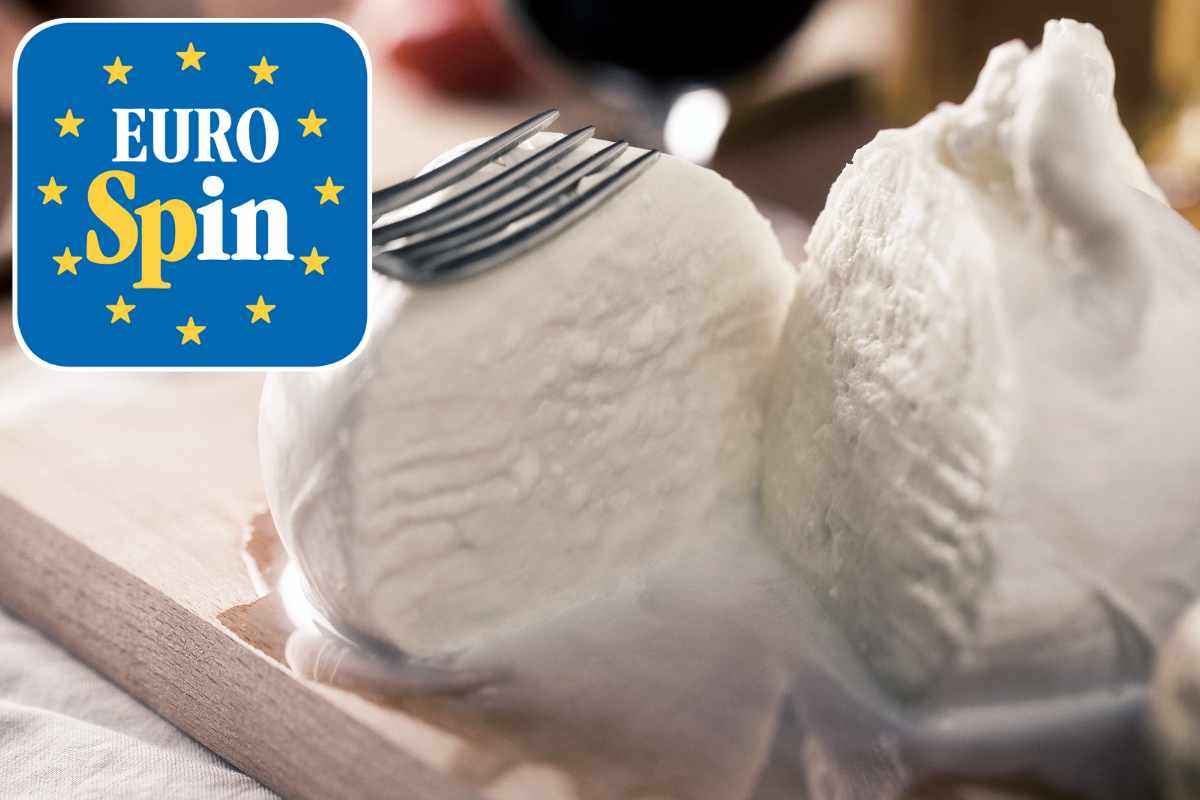 mozzarella eurospin alta qualità
