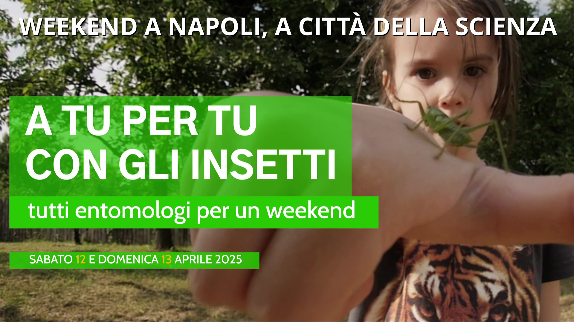 Città della Scienza: nel weekend 'A tu per tu con gli insetti'