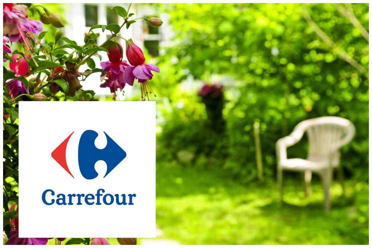 Carrefour giardino promo