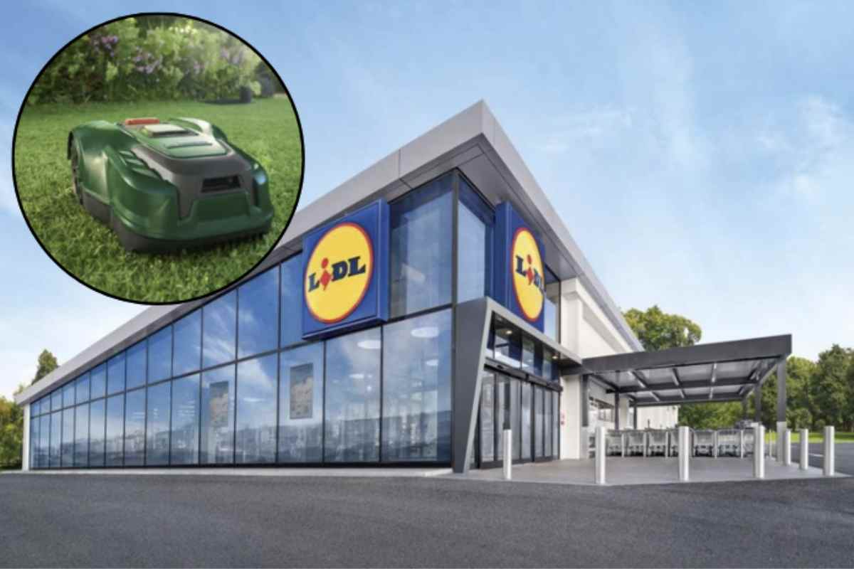 Questo dispositivo, già apprezzato da molti appassionati di giardinaggio e fai-da-te, si propone come una soluzione economica