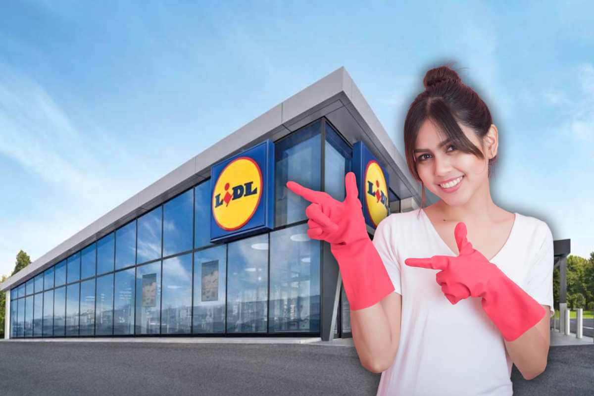offerte lidl