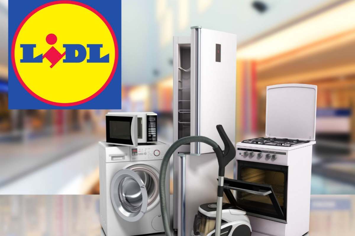 lidl