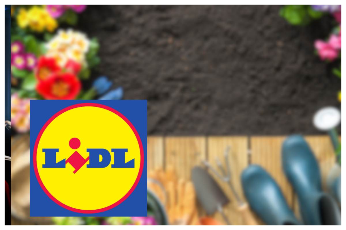 Lidl promo pollice verde