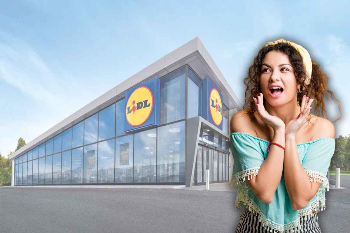 lidl mobili