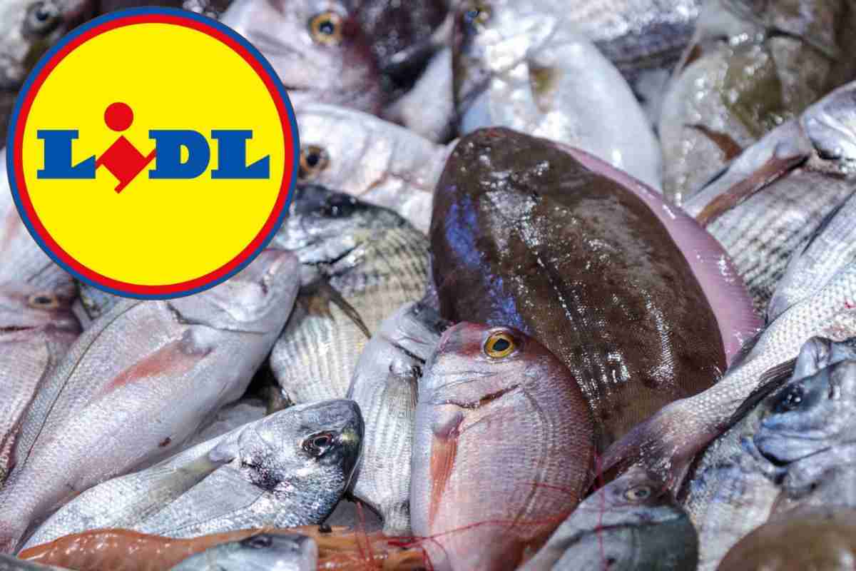 pesce lidl
