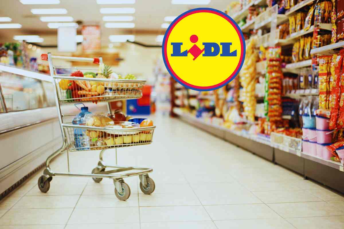 Lidl tavolo 2 in 1: colpo di genio e costa pochissimo