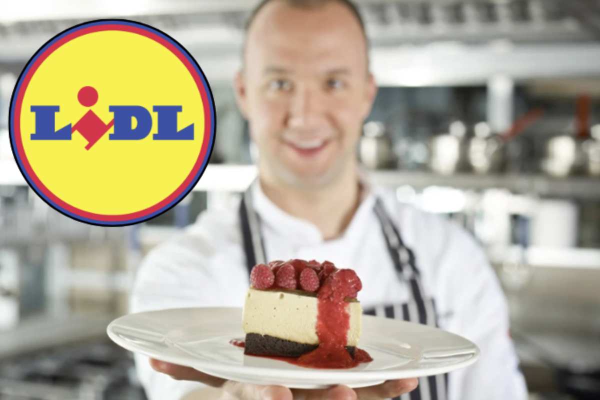 Questa cheesecake, realizzata con ingredienti facilmente reperibili da Lidl,