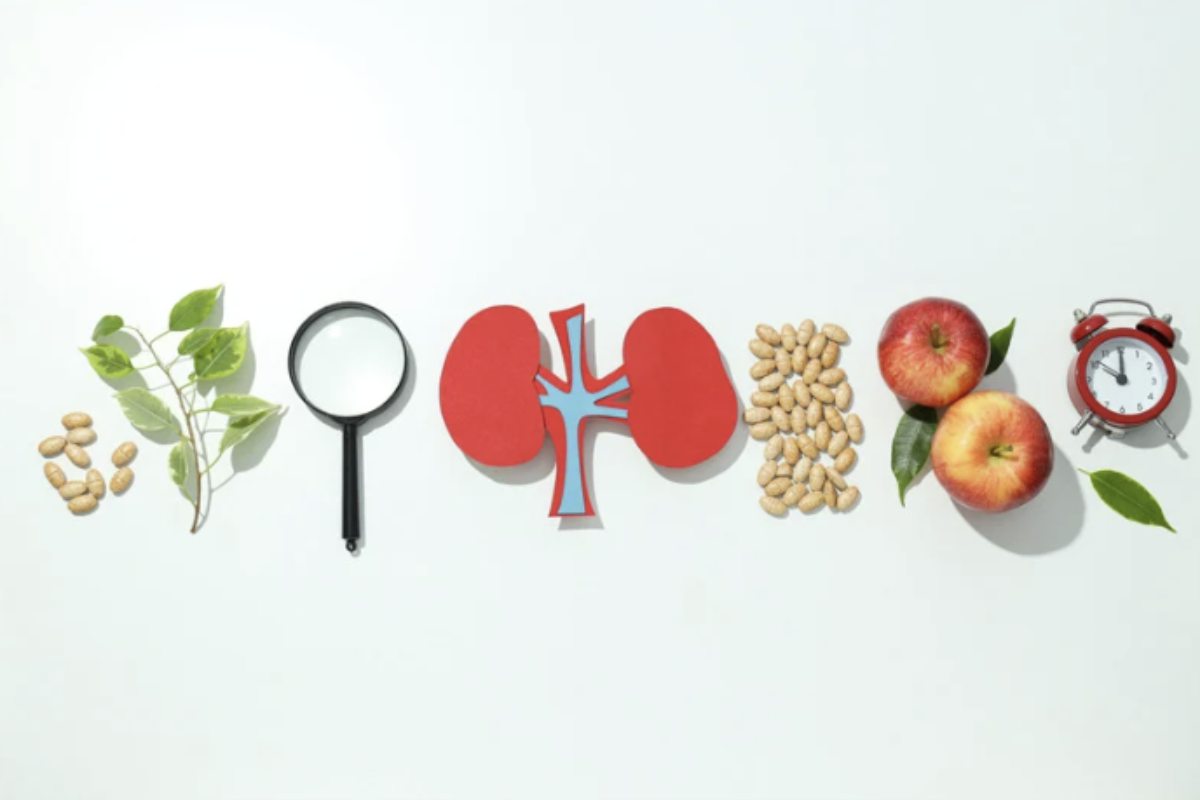 Spesso definito "ormone dello stress", il cortisolo viene rilasciato in risposta a situazioni che richiedono una reazione immediata,