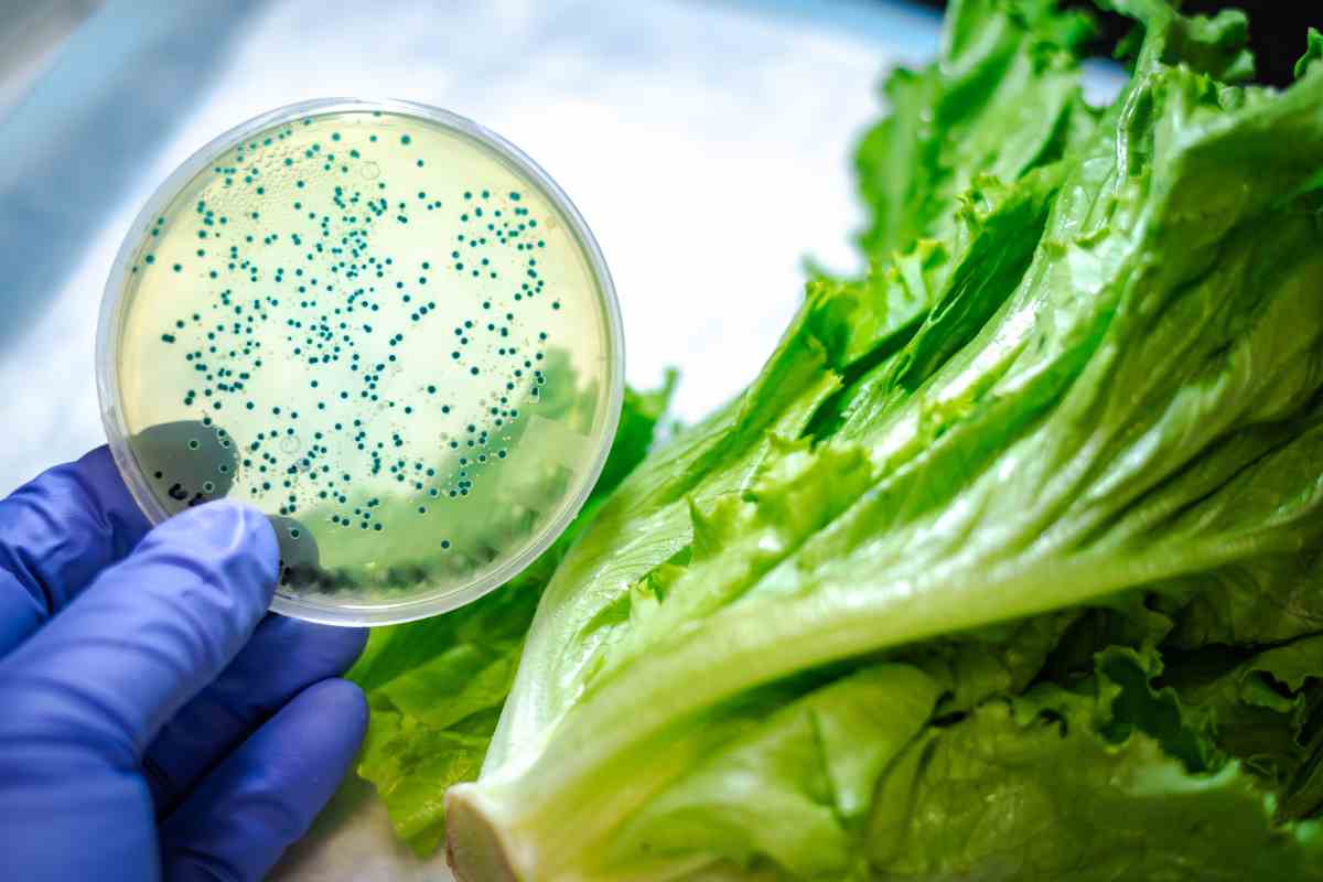 Richiamo alimentare, attenzione a questa spezia comunissima