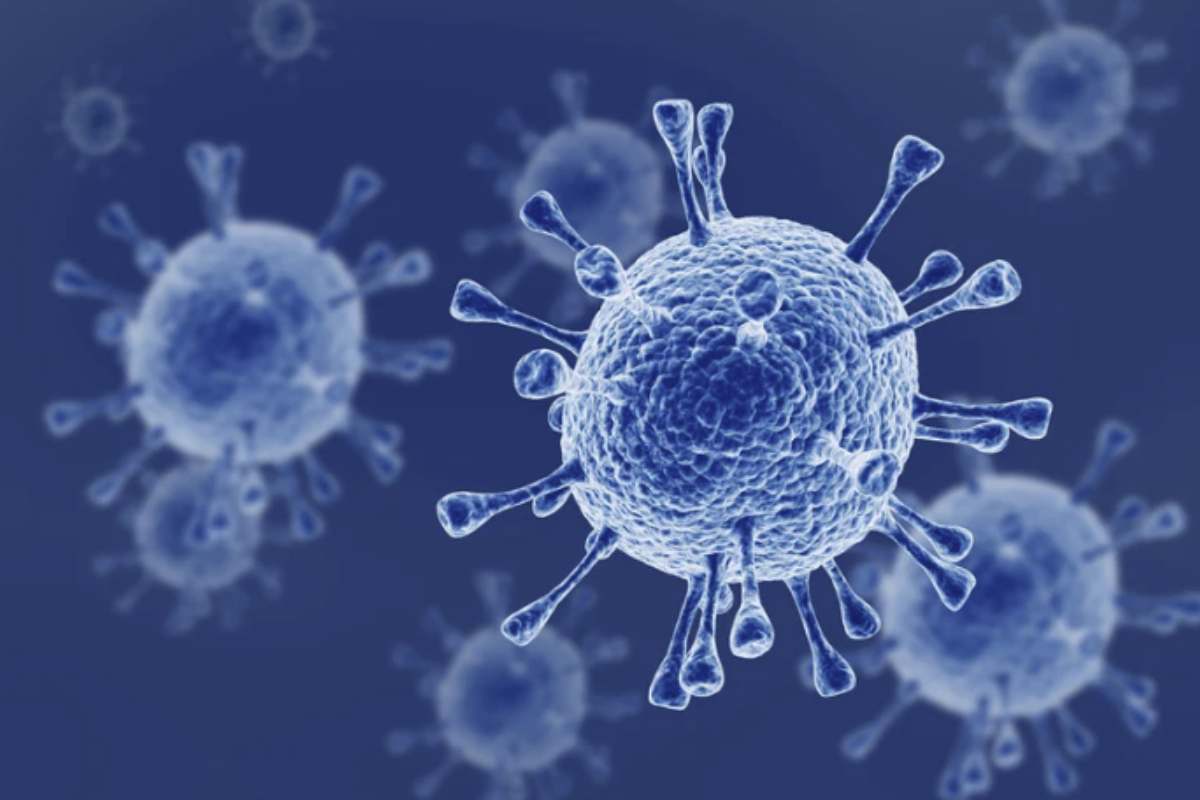 Il primo caso è stato rilevato il 21 giugno a Nuoro, in Sardegna, mentre il secondo è emerso in un allevamento nel Mantovano,