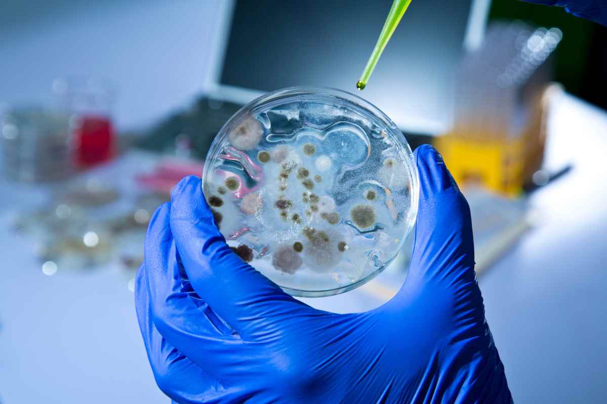 Allarme mondiale, 304 milioni di infetti e un milione di morti, di che si tratta