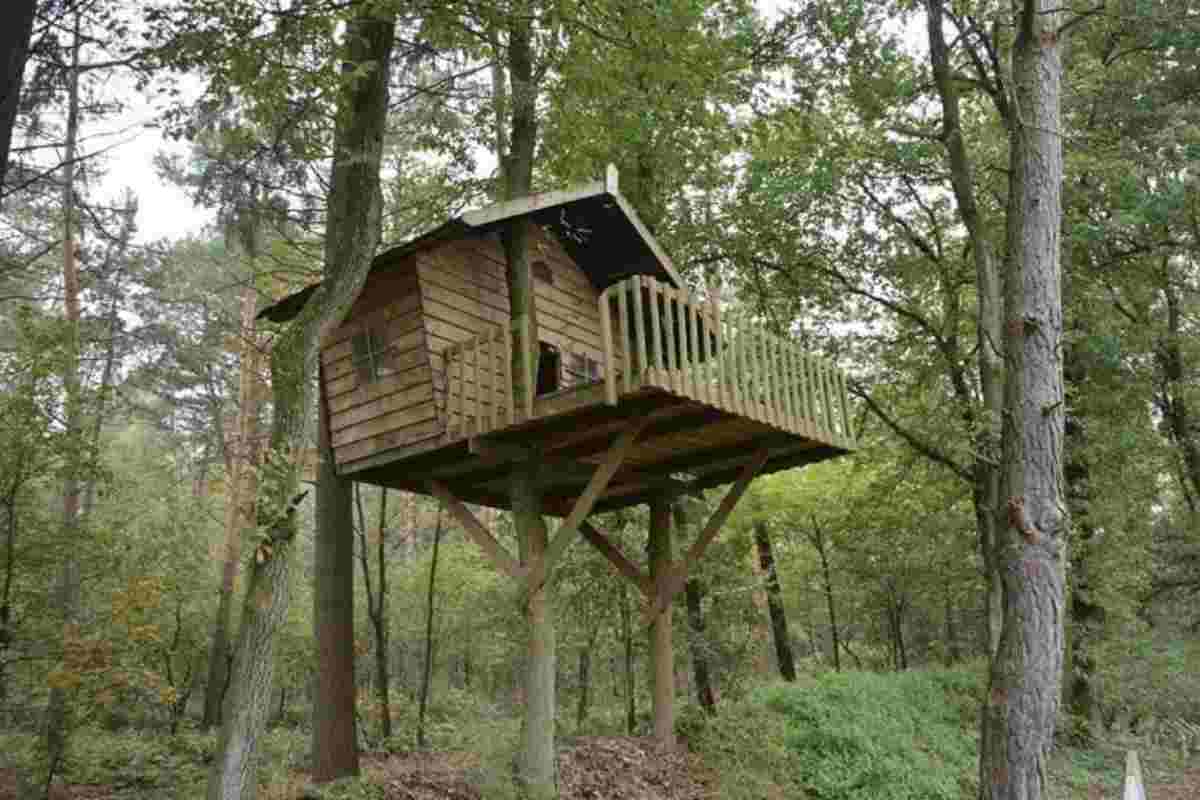 Nel cuore del Friuli Venezia Giulia, le case sugli alberi rappresentano una delle soluzioni più affascinanti per chi vuole immergersi